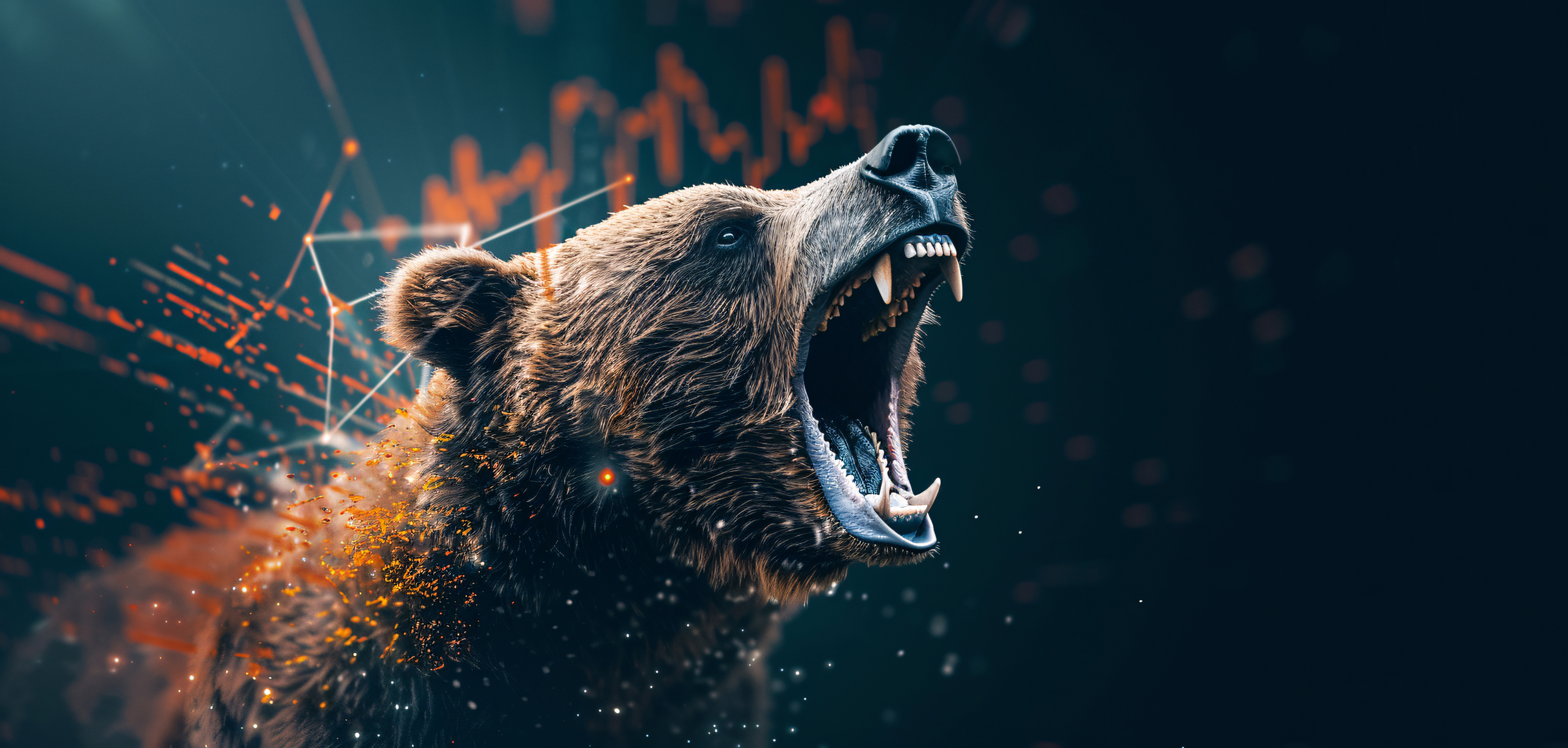 Bear Market